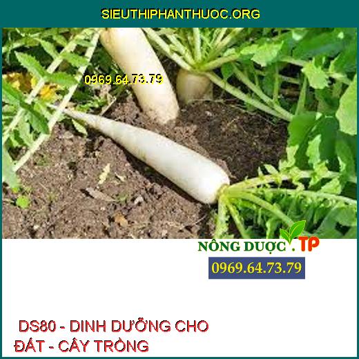  DS80 - DINH DƯỠNG CHO ĐẤT - CÂY TRỒNG