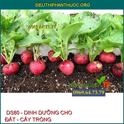  DS80 - DINH DƯỠNG CHO ĐẤT - CÂY TRỒNG