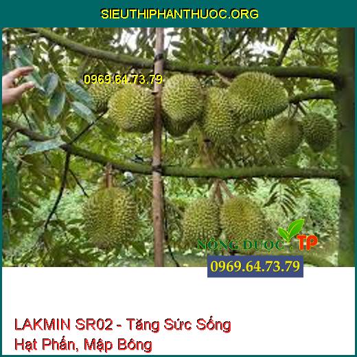 LAKMIN SR02 - Tăng Sức Sống Hạt Phấn, Mập Bông