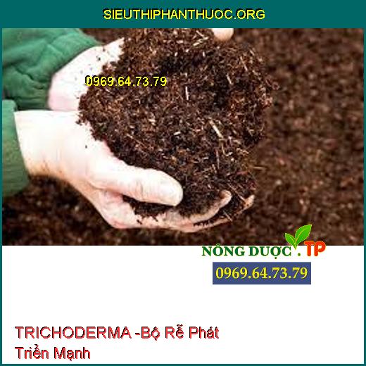 TRICHODERMA -Bộ Rễ Phát Triển Mạnh