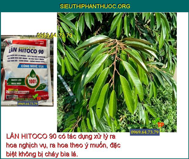 LÂN HITOCO 90 có tác dụng xử lý ra hoa nghịch vụ, ra hoa theo ý muốn, đặc biệt không bị cháy bìa lá.