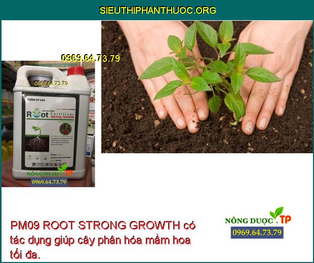 PM09 ROOT STRONG GROWTH có tác dụng giúp cây phân hóa mầm hoa tối đa.