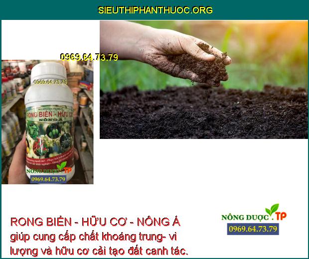 RONG BIỂN - HỮU CƠ - NÔNG Á giúp cung cấp chất khoáng trung- vi lượng và hữu cơ cải tạo đất canh tác.