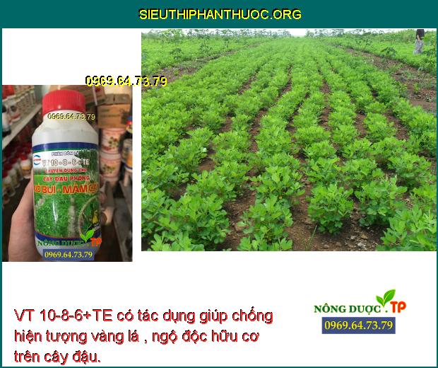 VT 10-8-6+TE có tác dụng giúp chống hiện tượng vàng lá , ngộ độc hữu cơ trên cây đậu.
