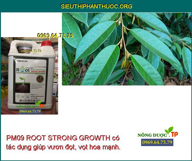 PM09 ROOT STRONG GROWTH có tác dụng giúp vươn đọt, vọt hoa mạnh.