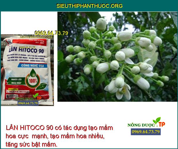 LÂN HITOCO 90 có tác dụng tạo mầm hoa cực  mạnh, tạo mầm hoa nhiều, tăng sức bật mầm.