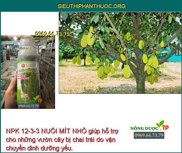 NPK 12-3-3 NUÔI MÍT NHỎ giúp hỗ trợ cho những vườn cây bị chai trái do vận chuyển dinh dưỡng yếu.