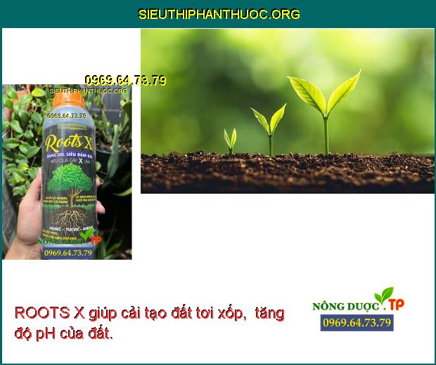 ROOTS X giúp cải tạo đất tơi xốp,  tăng độ pH của đất.