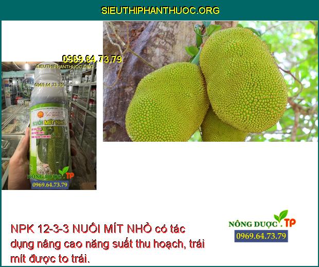 NPK 12-3-3 NUÔI MÍT NHỎ có tác dụng nâng cao năng suất thu hoạch, trái mít được to trái.
