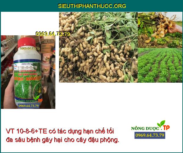 VT 10-8-6+TE có tác dụng hạn chế tối đa sâu bệnh gây hại cho cây đậu phộng.