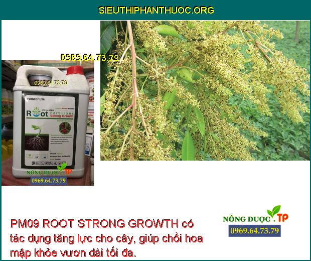 PM09 ROOT STRONG GROWTH có tác dụng tăng lực cho cây, giúp chồi hoa mập khỏe vươn dài tối đa.