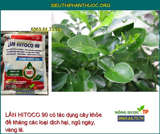 LÂN HITOCO 90 có tác dụng cây khỏe đề kháng các loại dịch hại, ngủ ngày, vàng lá.
