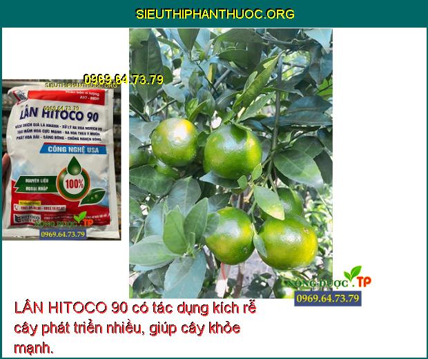 LÂN HITOCO 90 có tác dụng kích rễ cây phát triển nhiều, giúp cây khỏe mạnh.