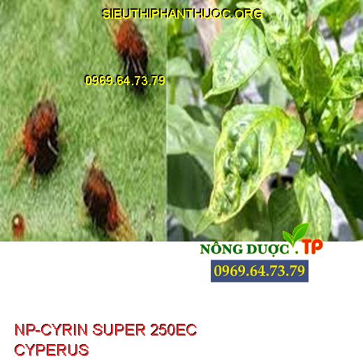 NP-CYRIN SUPER 250EC CYPERUS