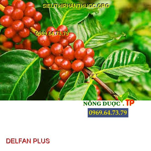 DELFAN PLUS