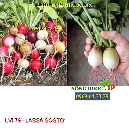 LVI 79 - LASSA SOSTO: