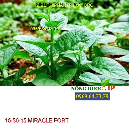15-30-15 MIRACLE FORT