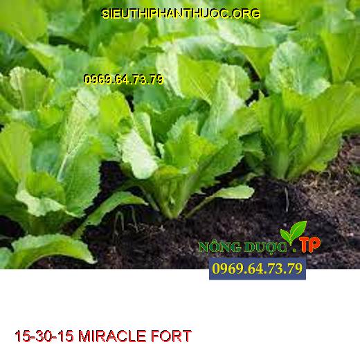 15-30-15 MIRACLE FORT
