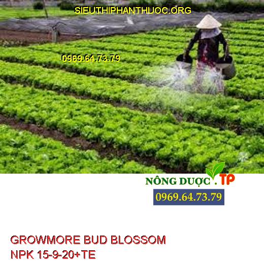 GROWMORE BUD BLOSSOM NPK 15-9-20+TE