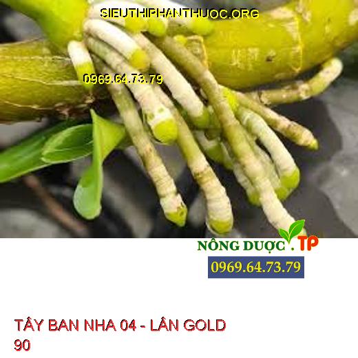 TÂY BAN NHA 04 - LÂN GOLD 90