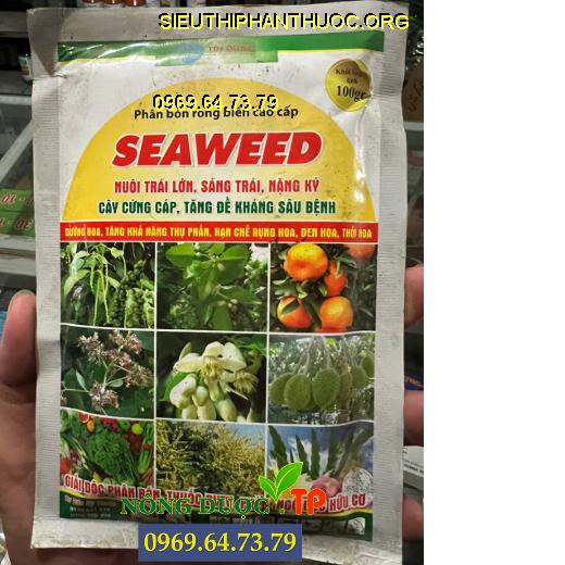 SEAWEED RONG BIỂN CAO CẤP - Nuôi Trái Lớn, Sáng Trái,Nặng Ký