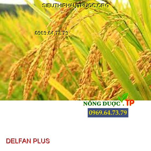 DELFAN PLUS