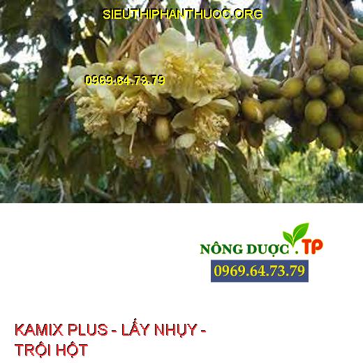 KAMIX PLUS - LẤY NHỤY - TRỘI HỘT