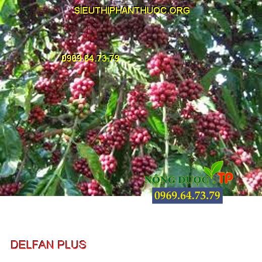 DELFAN PLUS