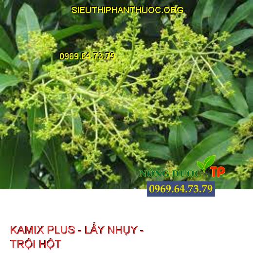 KAMIX PLUS - LẤY NHỤY - TRỘI HỘT