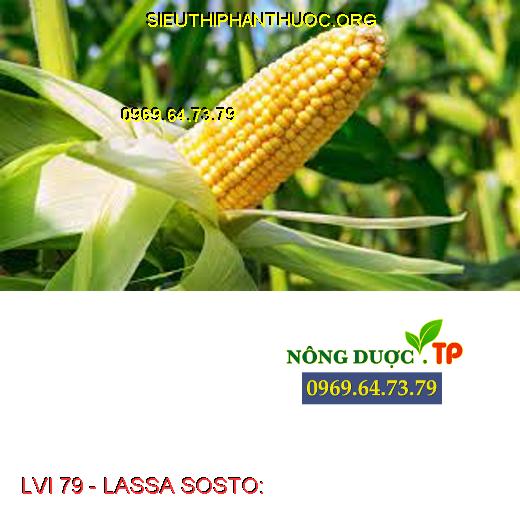 LVI 79 - LASSA SOSTO: