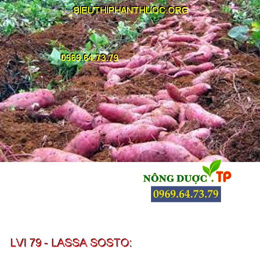 LVI 79 - LASSA SOSTO: