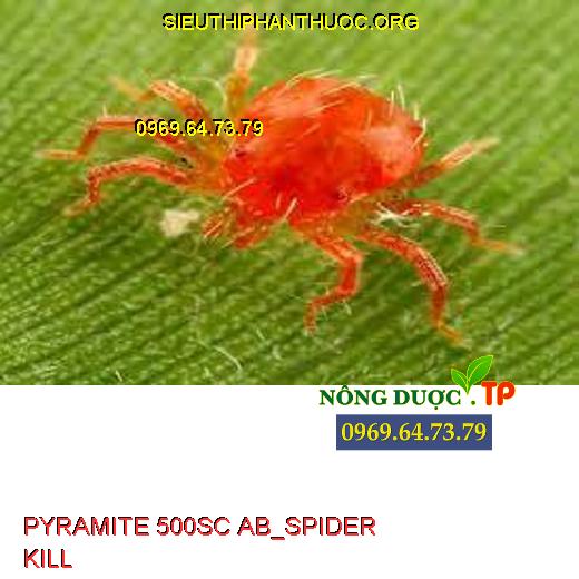 PYRAMITE 500SC AB_SPIDER KILL