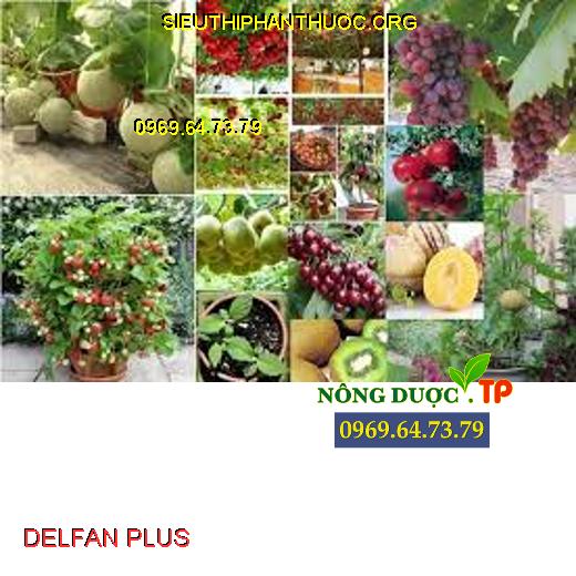 DELFAN PLUS