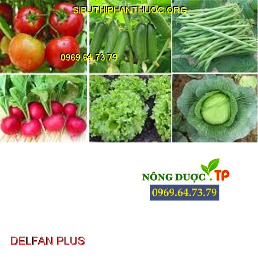 DELFAN PLUS