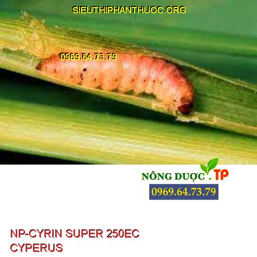 NP-CYRIN SUPER 250EC CYPERUS