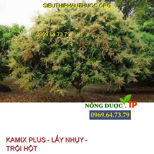 KAMIX PLUS - LẤY NHỤY - TRỘI HỘT