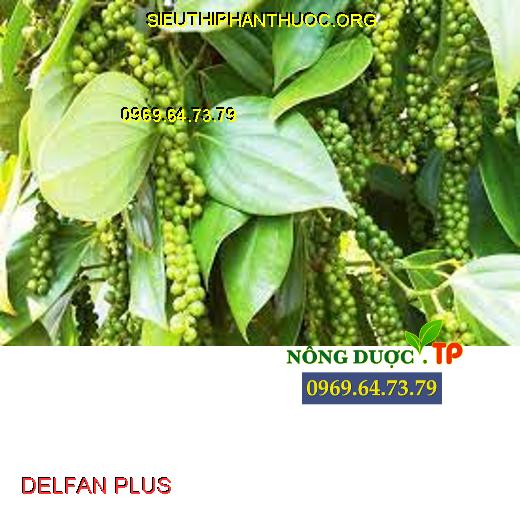 DELFAN PLUS