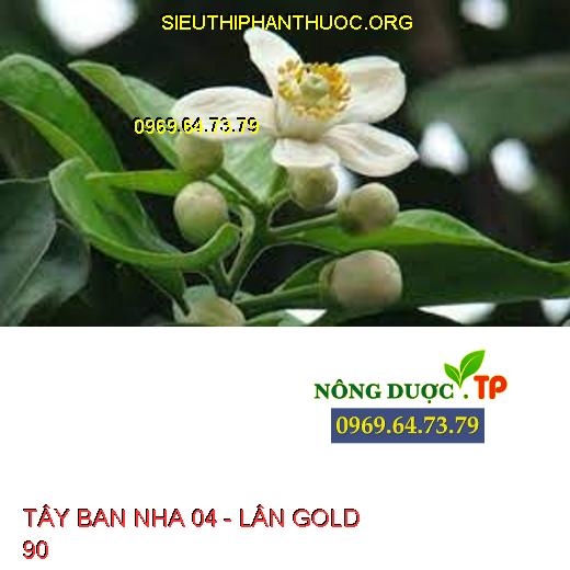 TÂY BAN NHA 04 - LÂN GOLD 90