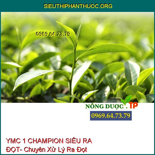 YMC 1 CHAMPION SIÊU RA ĐỌT- Chuyên Xử Lý Ra Đọt