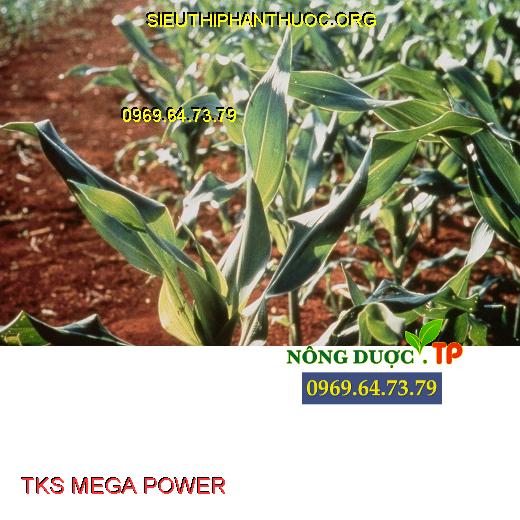 TKS MEGA POWER