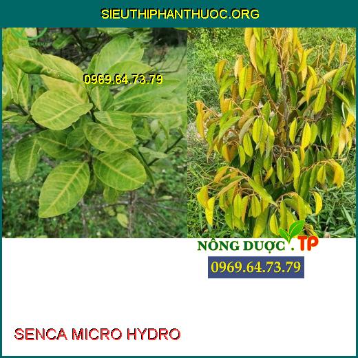 SENCA MICRO HYDRO 