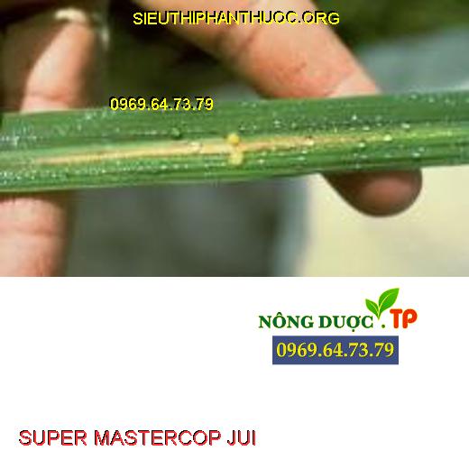 SUPER MASTERCOP JUI