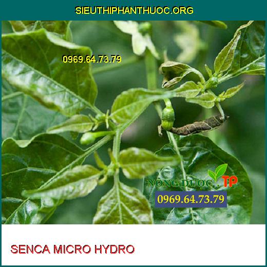 SENCA MICRO HYDRO 