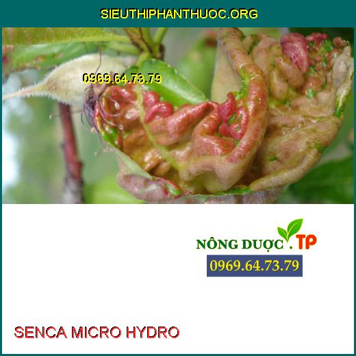 SENCA MICRO HYDRO 