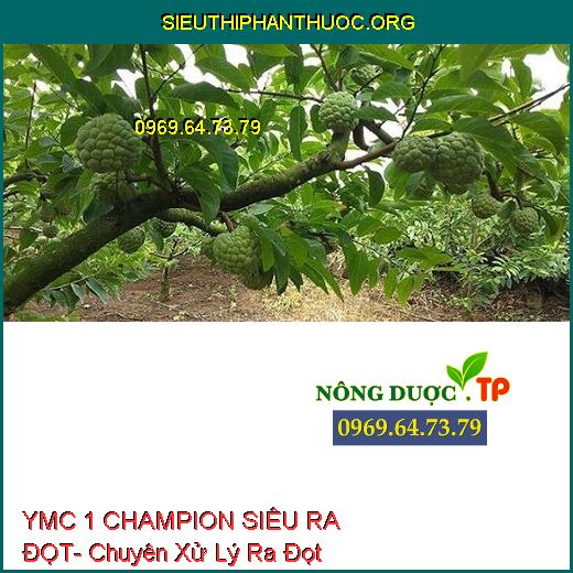 YMC 1 CHAMPION SIÊU RA ĐỌT- Chuyên Xử Lý Ra Đọt