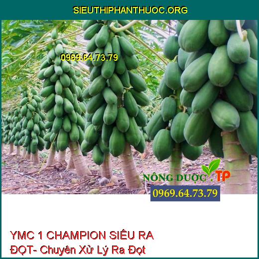 YMC 1 CHAMPION SIÊU RA ĐỌT- Chuyên Xử Lý Ra Đọt