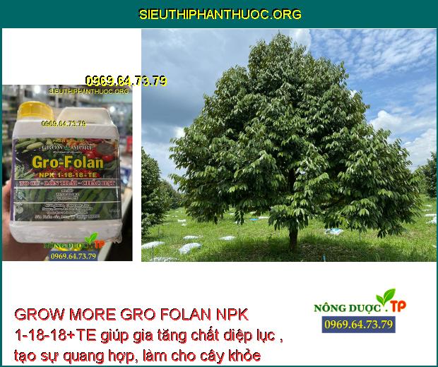 GROW MORE GRO FOLAN NPK 1-18-18+TE giúp gia tăng chất diệp lục , tạo sự quang hợp, làm cho cây khỏe mạnh.