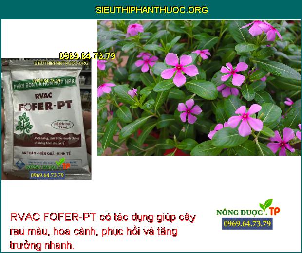 RVAC FOFER-PT có tác dụng giúp cây rau màu, hoa cành, phục hồi và tăng trưởng nhanh.