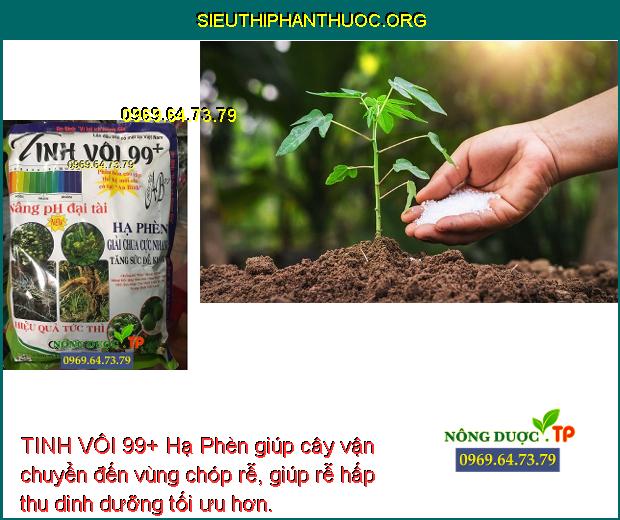 TINH VÔI 99+ Hạ Phèn giúp cây vận chuyển đến vùng chóp rễ, giúp rễ hấp thu dinh dưỡng tối ưu hơn.