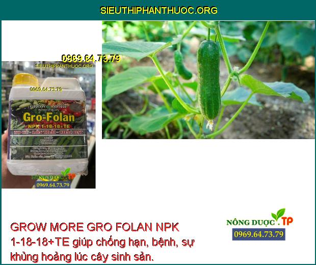 GROW MORE GRO FOLAN NPK 1-18-18+TE giúp chống hạn, bệnh, sự khủng hoảng lúc cây sinh sản.
